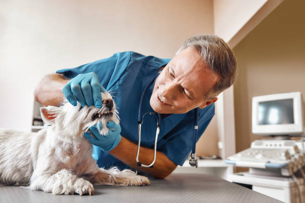 Best Emergency Treatment for Dental Infections or Abscesses in Estelle, LA